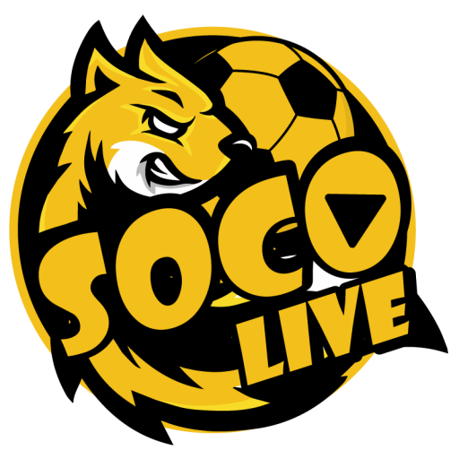 Logo Fav Socolive